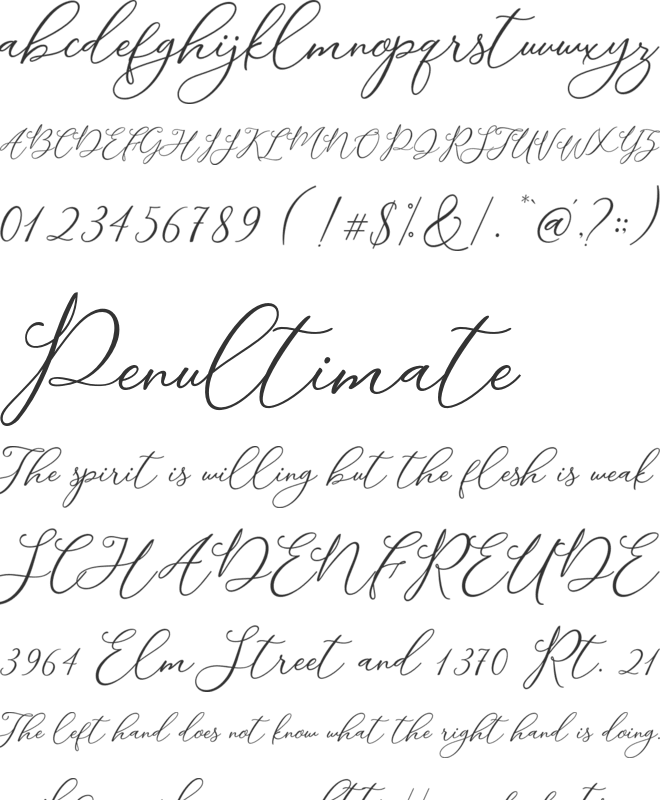 Modennta font preview