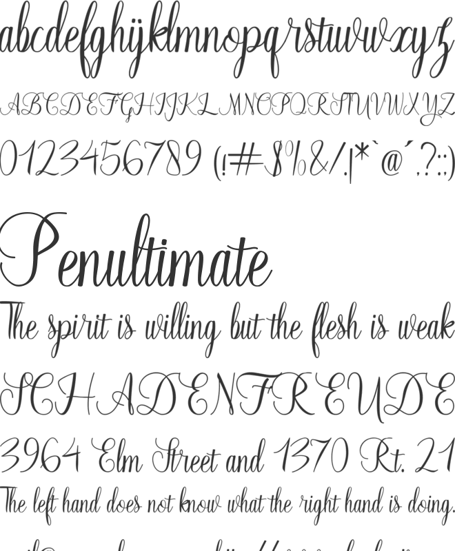 Fayalong font preview