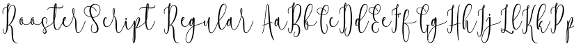 RoosterScript Regular font