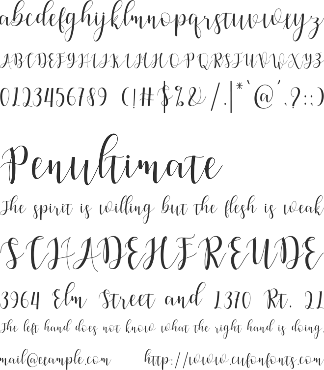 Amelisa font preview