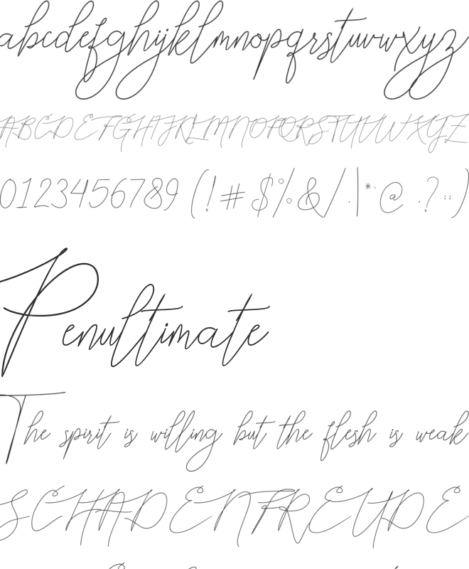 Bellya Vaky font preview