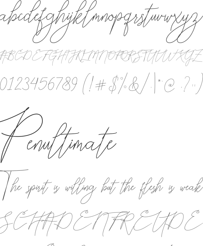 Bellya Vaky font preview