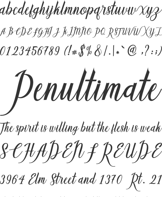 Callisa Script font preview