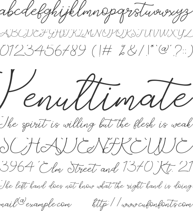 catherine font preview