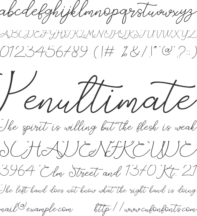 catherine font preview