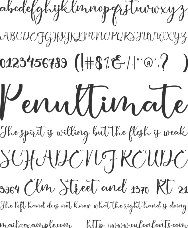 condita font preview
