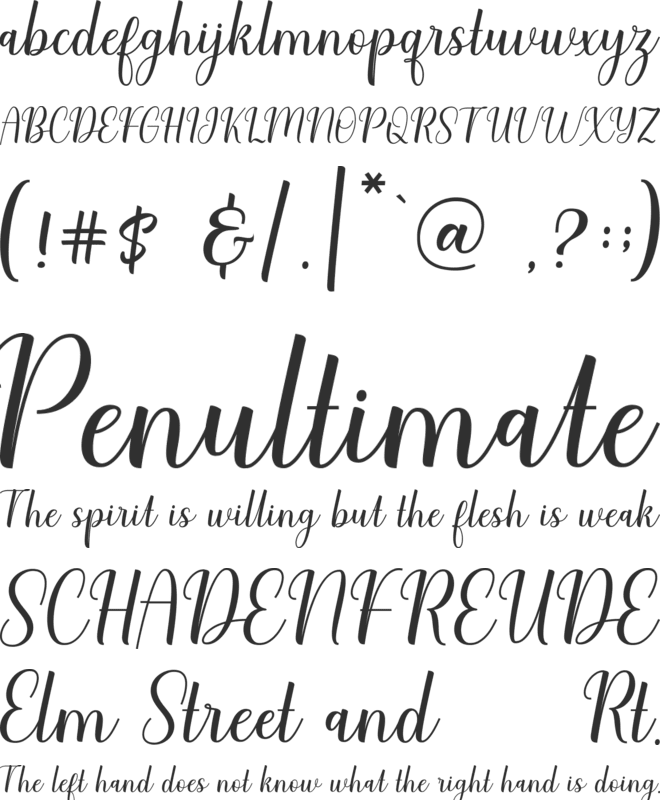 Charliez Demo font preview