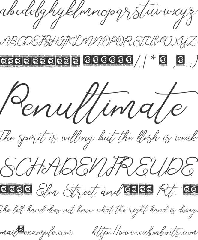 Corlita Script font preview
