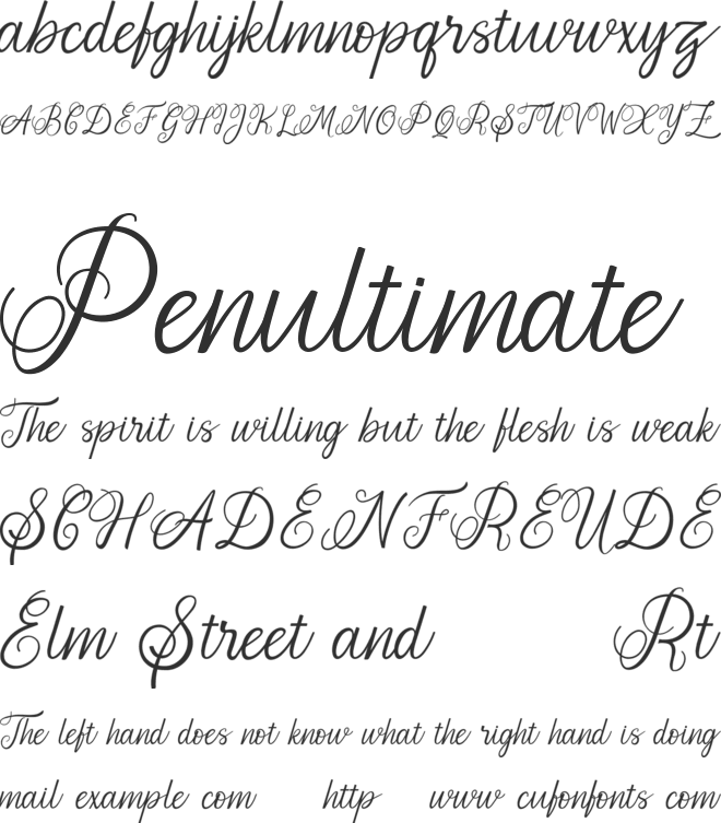 Aromatic Ginger font preview