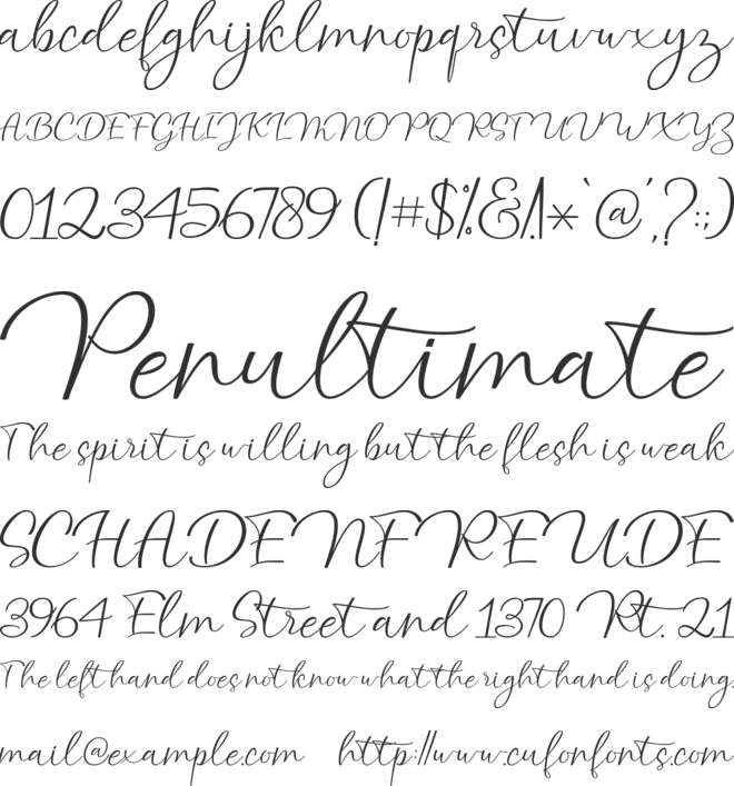 atlantic Script font preview