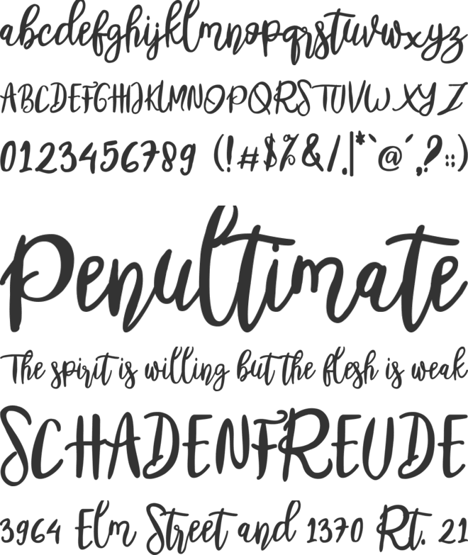 Billmate font preview