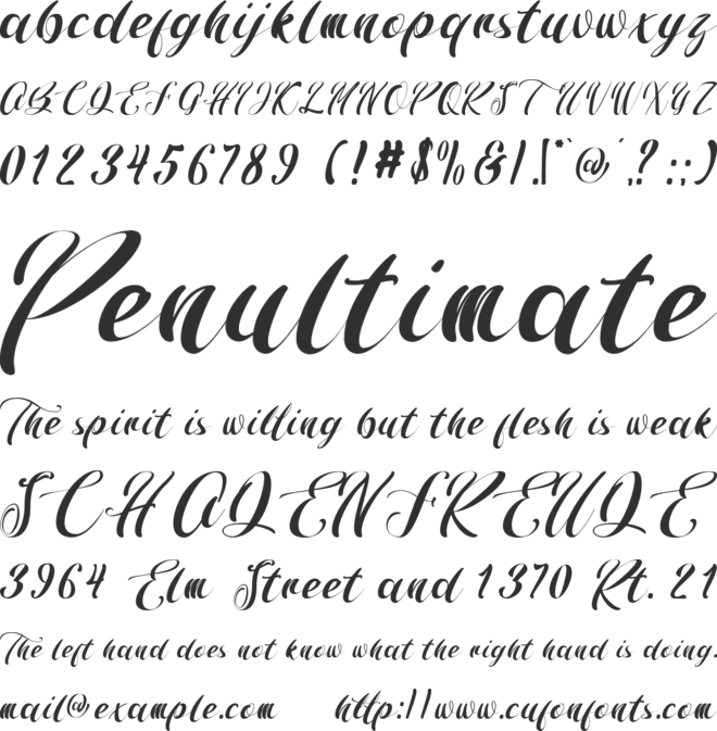 The Shinda font preview