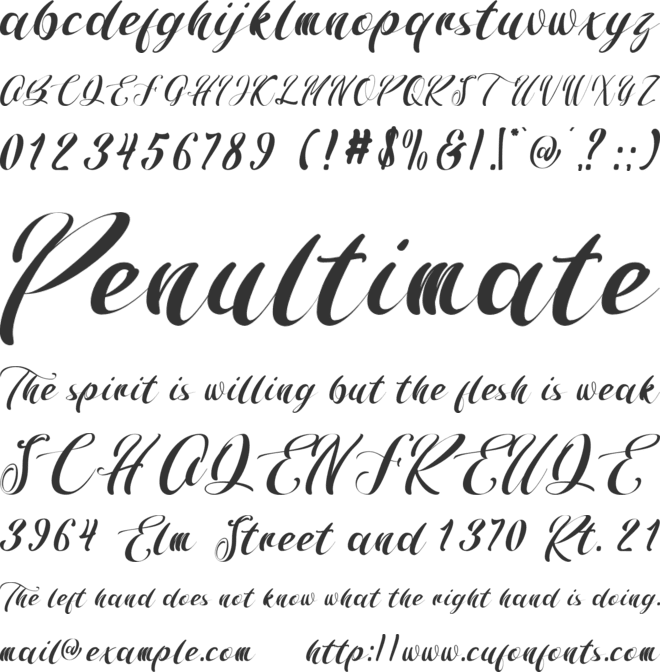 The Shinda font preview