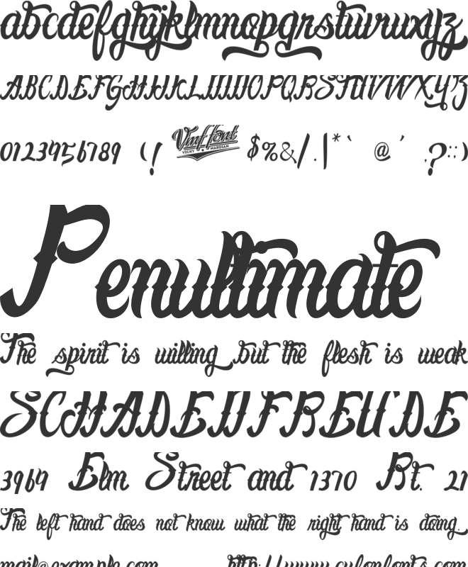 Lafayet Scripts font preview