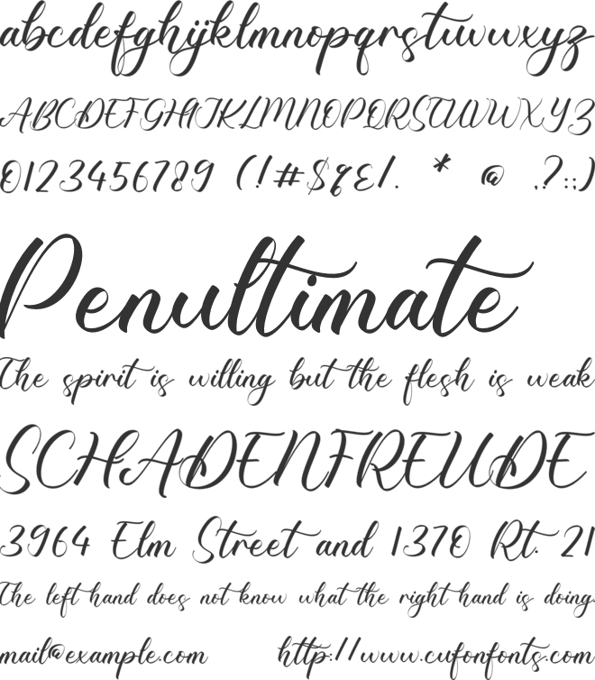 Natasha font preview