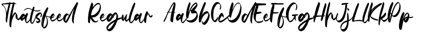 Thatsfeed font download
