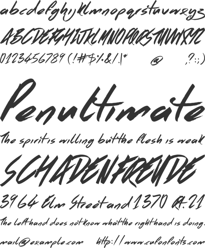 Rodeo Times font preview