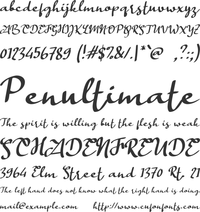 e Estonya Script font preview