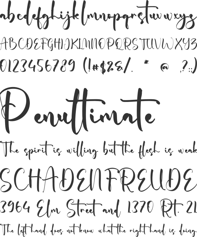 Chelsea Raina font preview