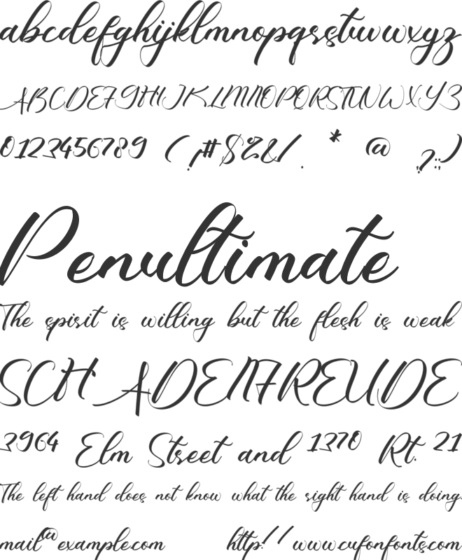 Frances Shaniya font preview