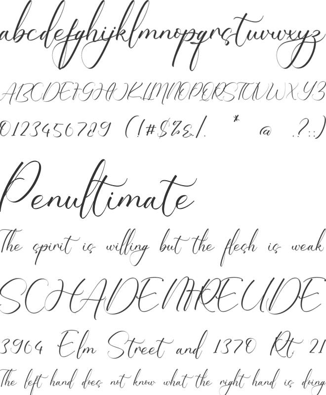 Destinee Elizabeth font preview