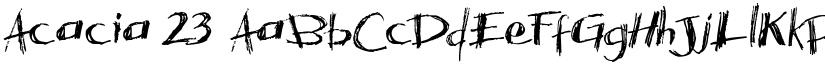 Acacia 23 font download