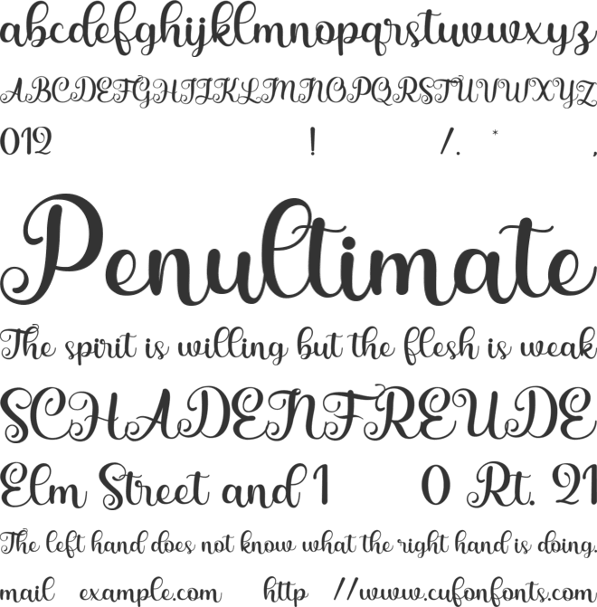 Saylina font preview