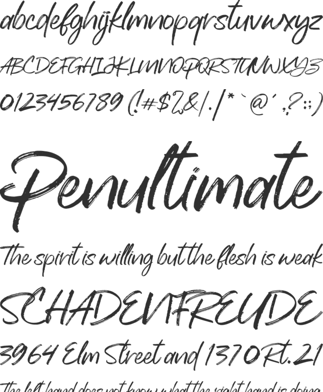 Backhand font preview