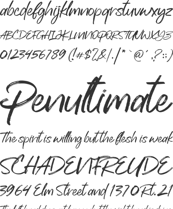 Backhand font preview