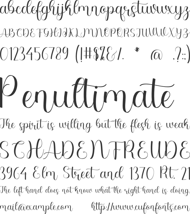 Carmelo Reynaldo font preview
