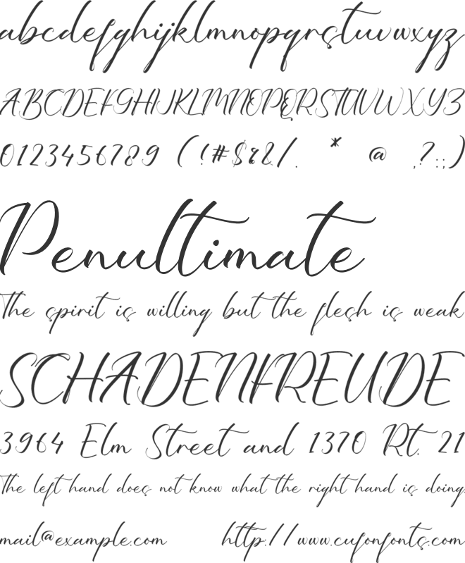 Cynthia Maddison font preview