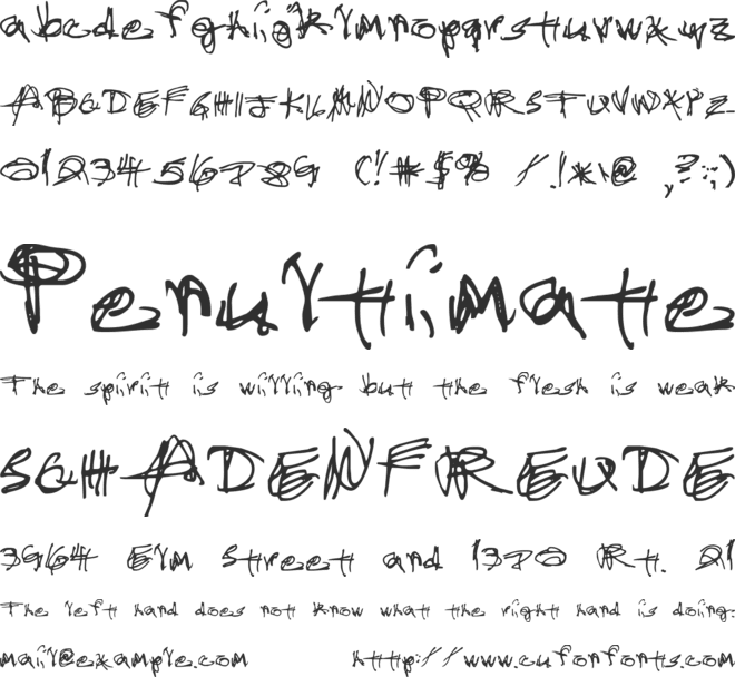 Administrator Password font preview