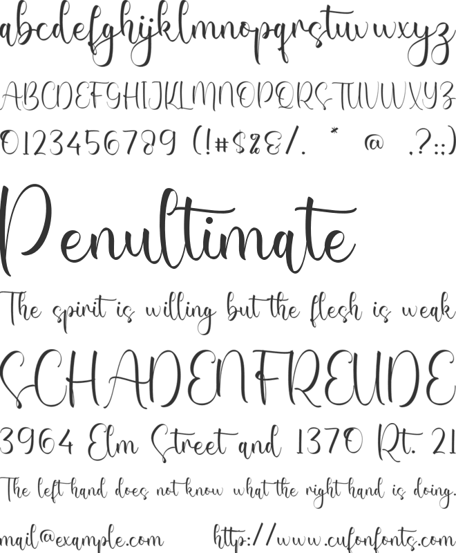 Clarissa Raelynn font preview