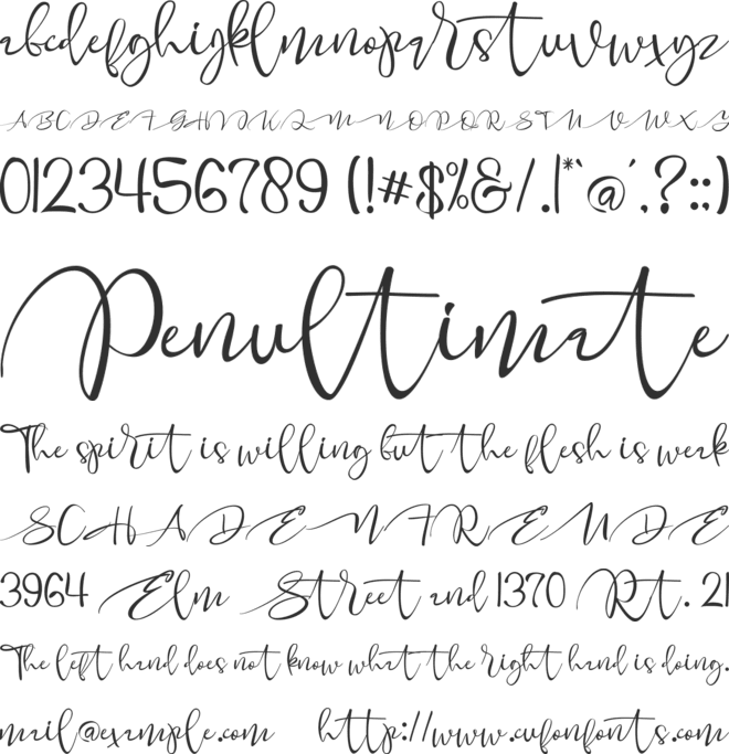 Merlion Script font preview