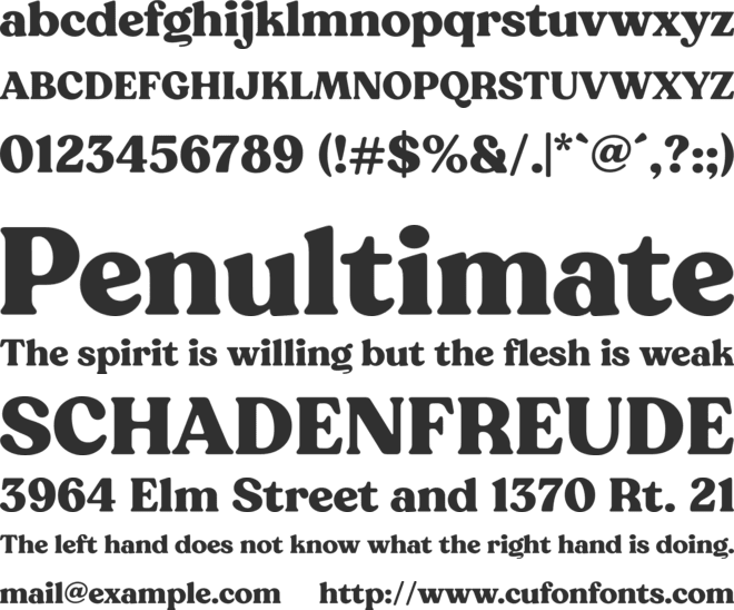NT Wagner font preview