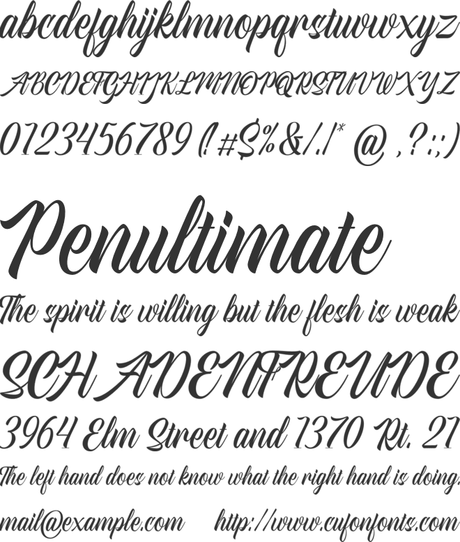 American Signer Personal Use font preview