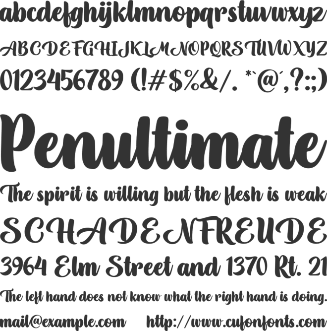 Magical Holiday font preview