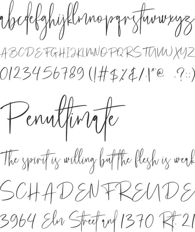 Marchita font preview