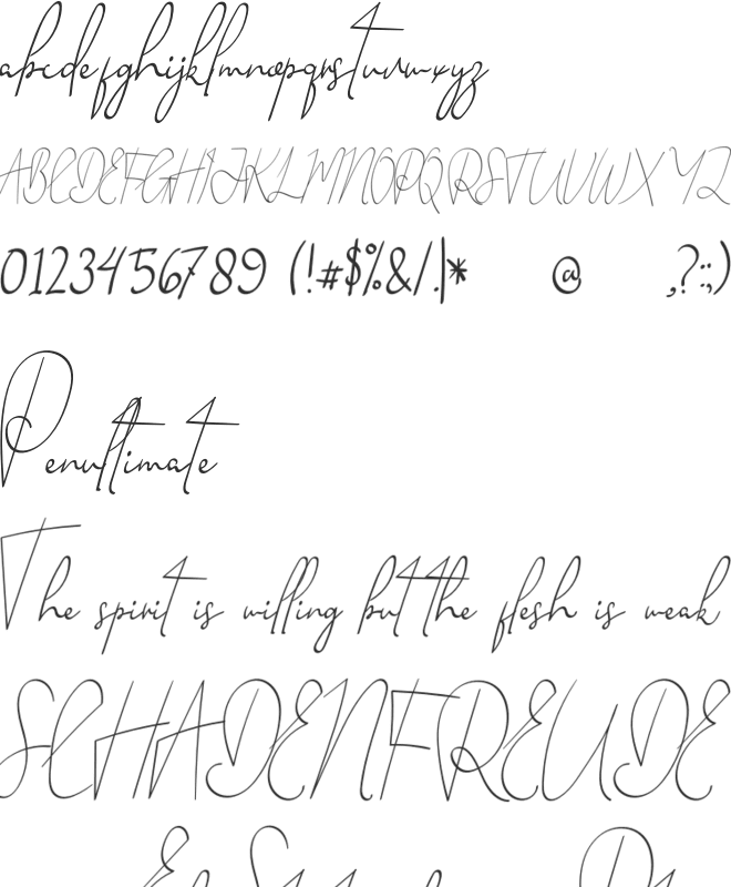 Handsome Tailor font preview