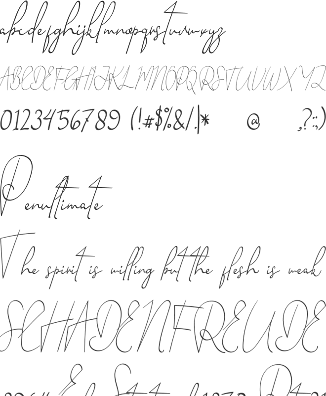 Handsome Tailor font preview