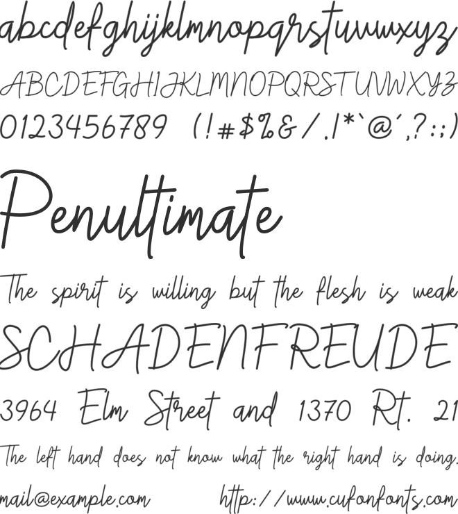 Gittany Signature font preview