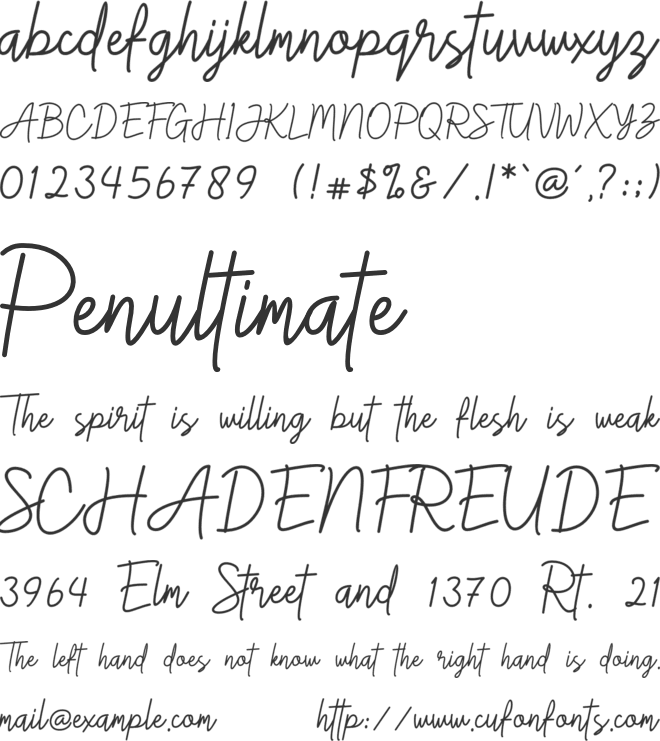 Gittany Signature font preview