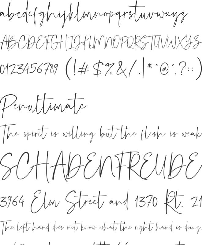 Janetta Signature font preview