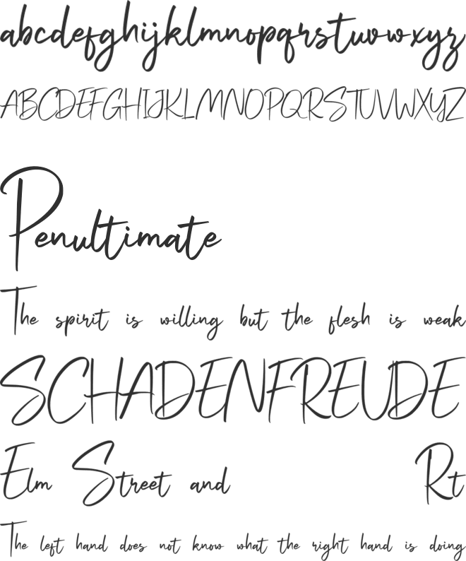 Signatey Free font preview