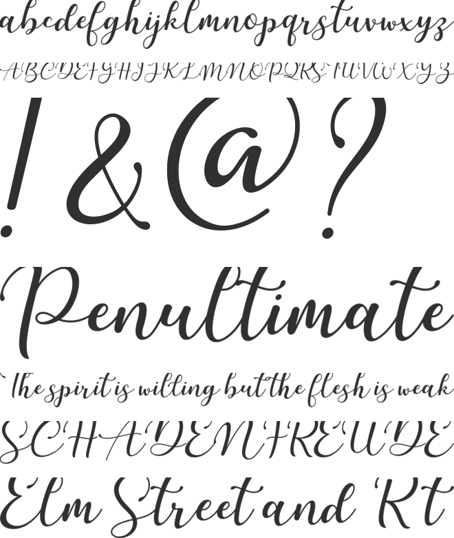 Martinesse font preview