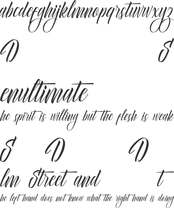 Delphin Spring DEMO font preview