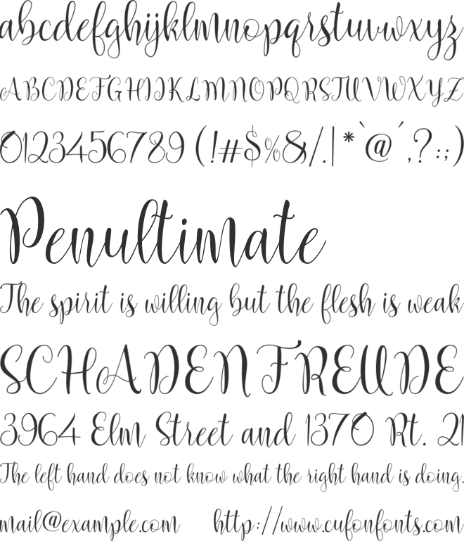 Marcellina Script font preview