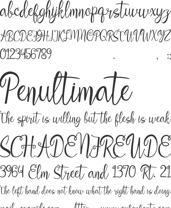 aleidita font preview