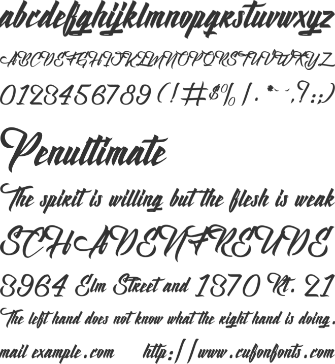 Birth of the Furious font preview