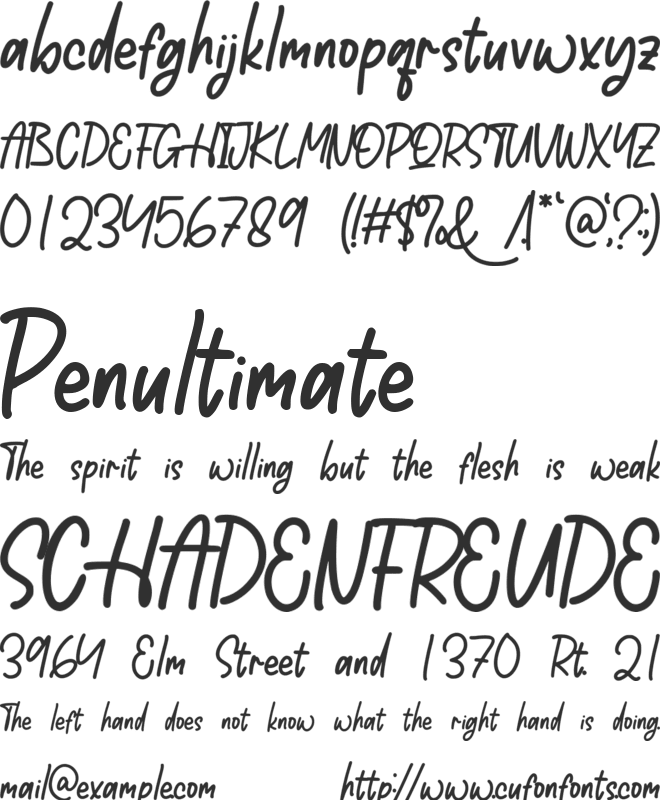Squashwill font preview